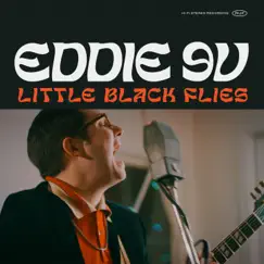 Little Black Flies by Eddie 9V album reviews, ratings, credits