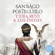 Santiago Posteguillo - Y Julia retó a los dioses