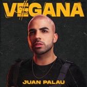 Vegana artwork