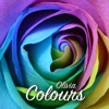 Colours - Single