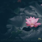 Lotus Unfolding artwork