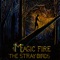 Third Day in a Row - The Stray Birds lyrics