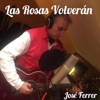 Las Rosas Volverán - EP