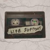 Life Support (feat. Amy Whittard) - Single
