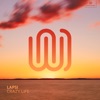 Crazy Life - Single
