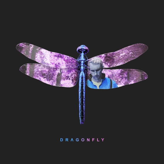 Cover artwork for Bloodstream