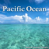 Pacific Ocean -Relaxing Ocean Waves At Various Resorts- artwork