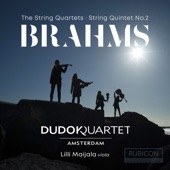 Brahms: The String Quartets & String Quintet No. 2 artwork