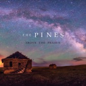 The Pines - Time Dreams (feat. John Trudell & Quiltman)