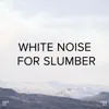!!!" White Noise for Slumber "!!! album lyrics, reviews, download