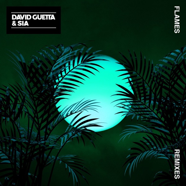 David Guetta & Sia - Flames (Remixes 2) - EP