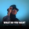 What Do You Want (feat. Una Rine) artwork