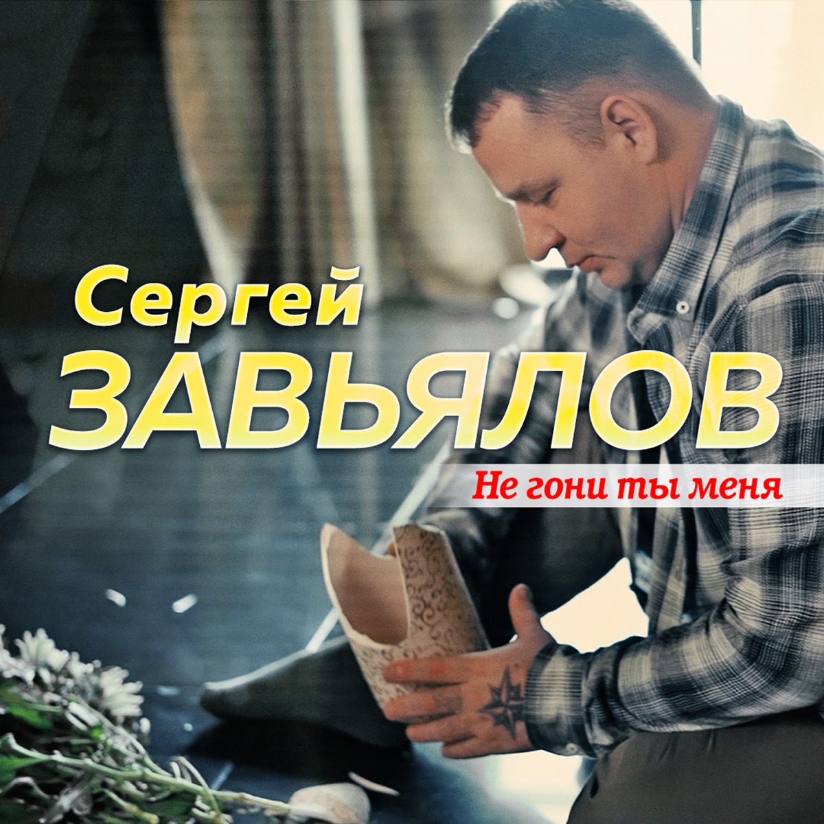 Сергей Завьялов – Не гони ты меня: слушать и скачать mp3 песню