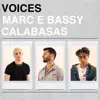 Voices - Single album lyrics, reviews, download