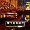 Deep in the Night!: A Jazz House Experience, Vol. 2