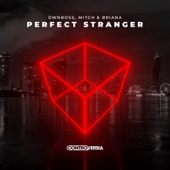 Perfect Stranger (Extended Mix) artwork