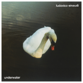 Underwater (Video Edition) - Ludovico Einaudi