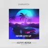 Never Give Up - Single album lyrics, reviews, download