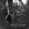 Asleep in the Downlights - EP album lyrics, reviews, download