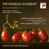 Piano Concerto No. 4 in G Minor: III. Allegretto artwork