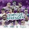 Tempo de Aprender (feat. Xande de Pilares) - Single album lyrics, reviews, download