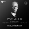 Wagner: Siegfried-Idyll & Orchestral Excerpts from the Operas