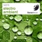 A Great Dream - SaraoMusic lyrics