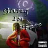 Gang In Here - Single album lyrics, reviews, download