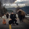 P'tit gros bison