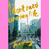 I don't need another life artwork