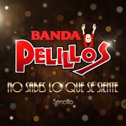 Banda Pelillos - No Sabes Lo Que Se Siente