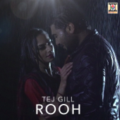 Rooh - Tej Gill