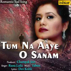 Tum Na Aaye O Sanam Song Lyrics