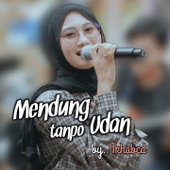 Mendung Tanpo Udan artwork