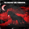 Te echo de menos - Single