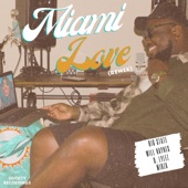 Miami Love (feat. Will Haynes, D. Lylez & Mirza) [Remix] artwork