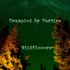 Stream & download Wildflowers - Single