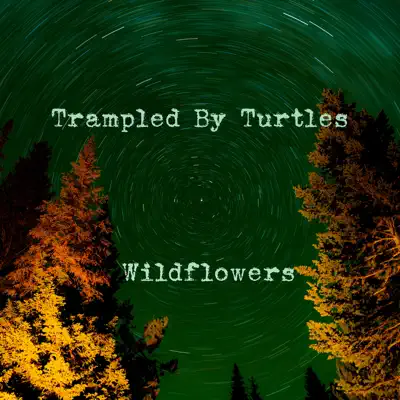 Wildflowers - Single - Trampled by Turtles