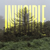 The Invisible Front artwork