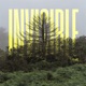 THE INVISIBLE cover art