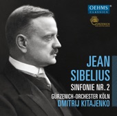 Sibelius: Symphony No. 2 in D Major, Op. 43 artwork
