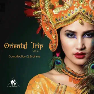 Oriental Trip, Vol. 4 (Compiled by Dj Brahms) by DJ Brahms & Billy Esteban album reviews, ratings, credits