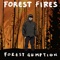 Set It Off - Forest Gumption lyrics