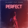 Perfect (feat. Edana) - Single