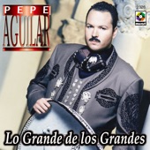 Pepe Aguilar - Amor Con Amor Se Paga