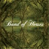 The Funeral by Band of Horses iTunes Track 1