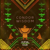 Condor Wisdom - EP artwork