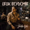 Ufuk Beydemir - Ay Tenli Kadın artwork