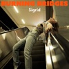 Burning Bridges - Single, 2021