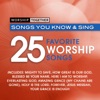 Worship Together: 25 Favorite Worship Songs, 2011